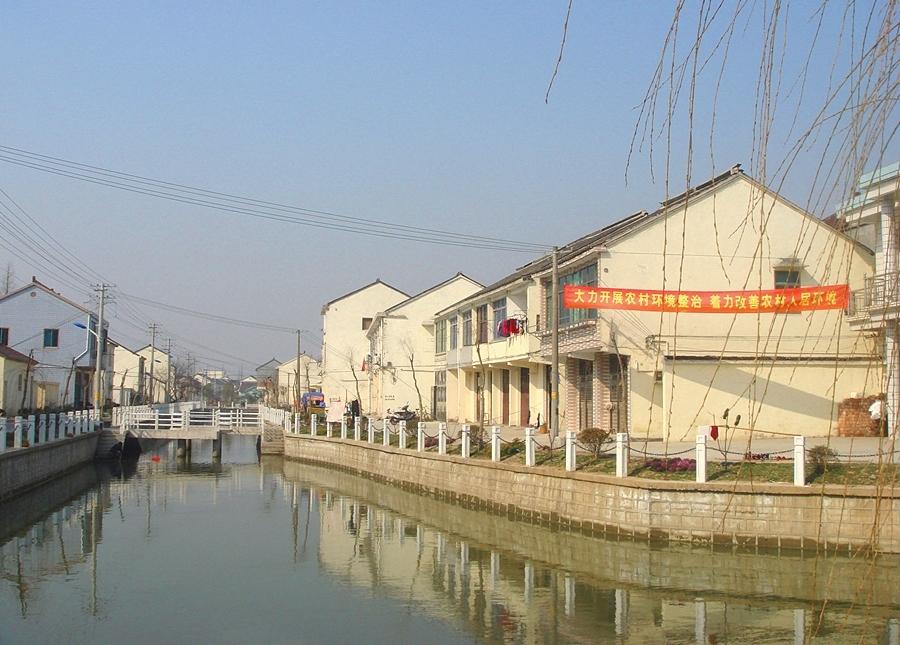 大港村