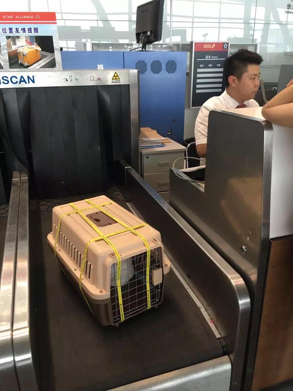 隨機托運