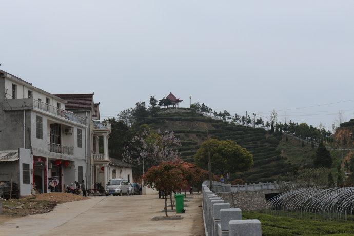 李山村