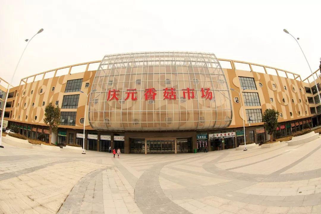 庆元香菇市场