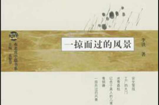 一掠而過的風(fēng)景