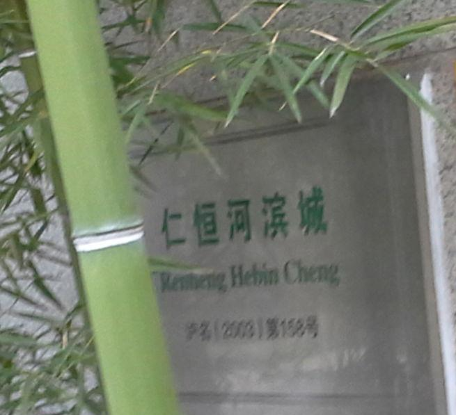 仁恒河滨城