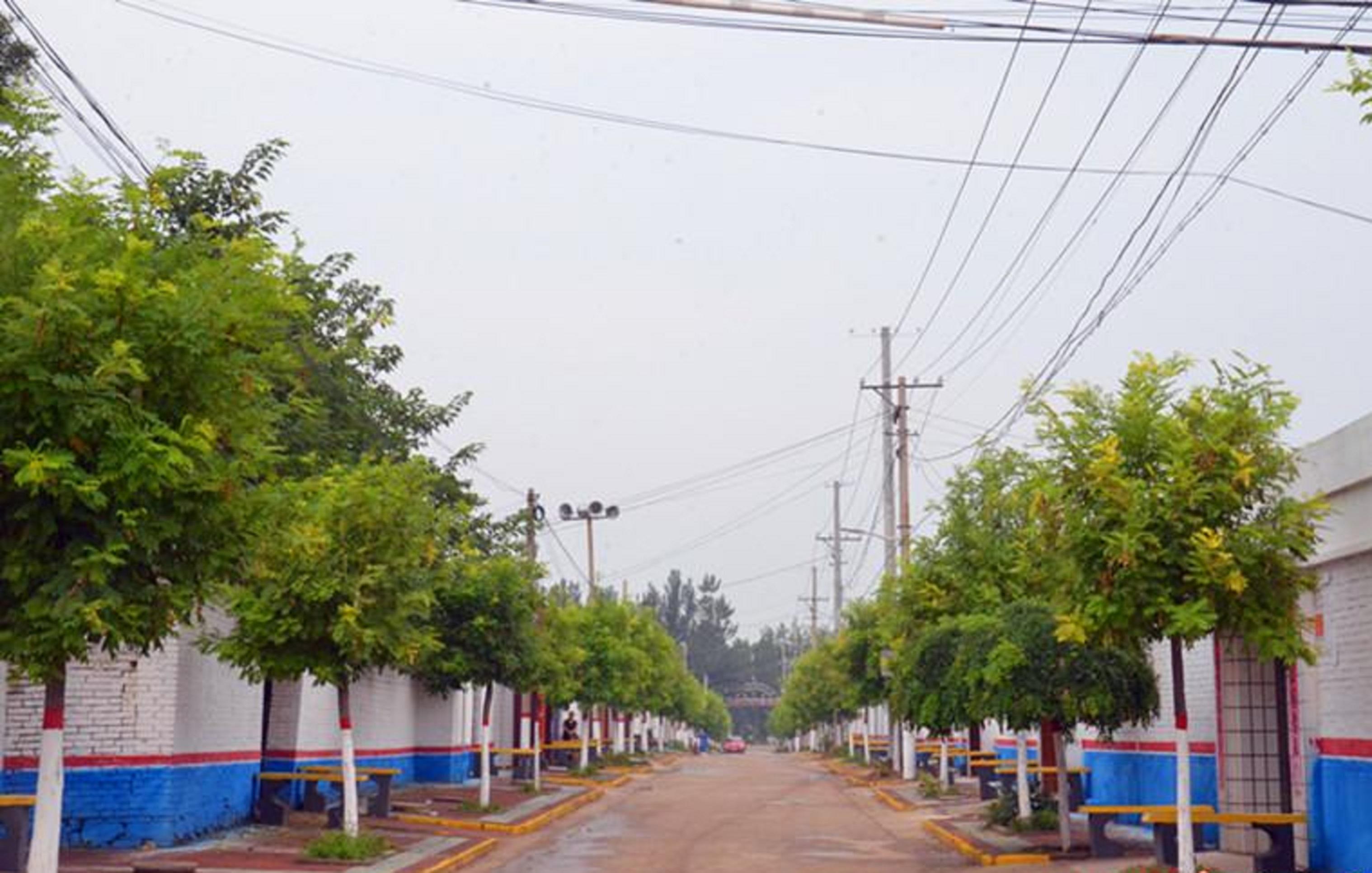 豐潤村