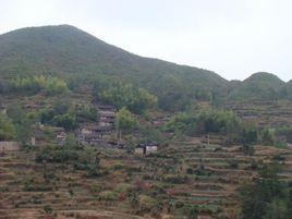 桃坑村