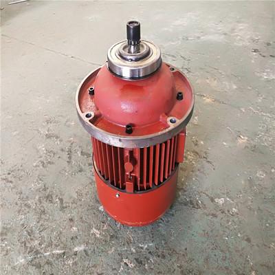 錐形轉(zhuǎn)子電動(dòng)機(jī)