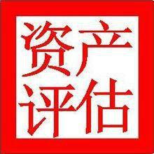 无形资产审计