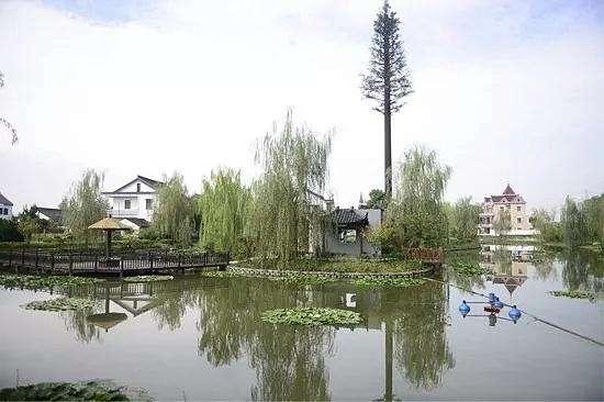 新倉村