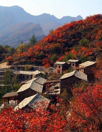 甄峰岭