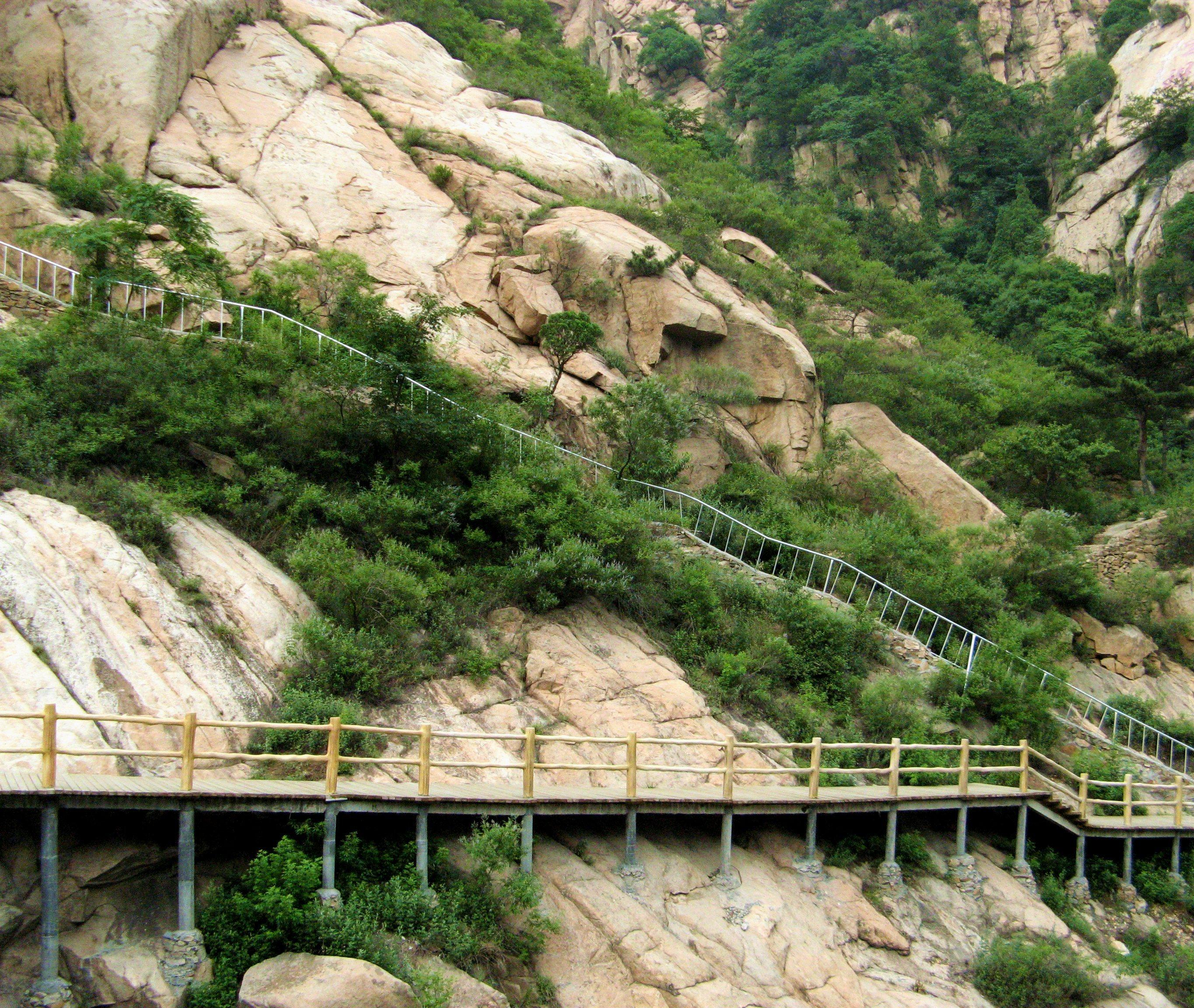 金泰山