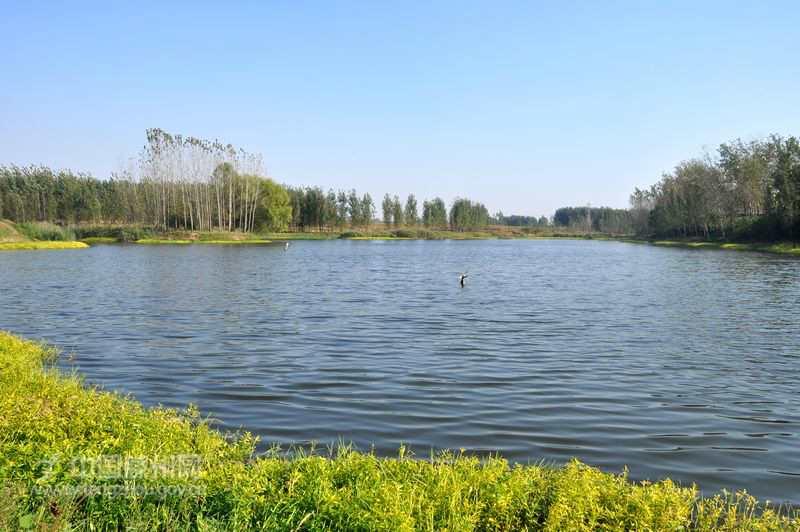 吕坡遗址