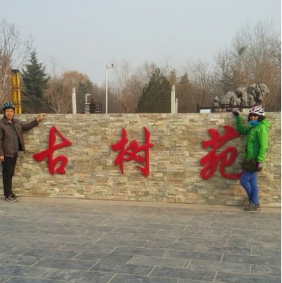 古樹苑