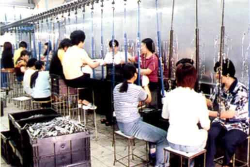 寶法德玩具有限公司