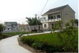 杨庄村