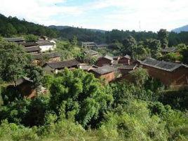 麦地村
