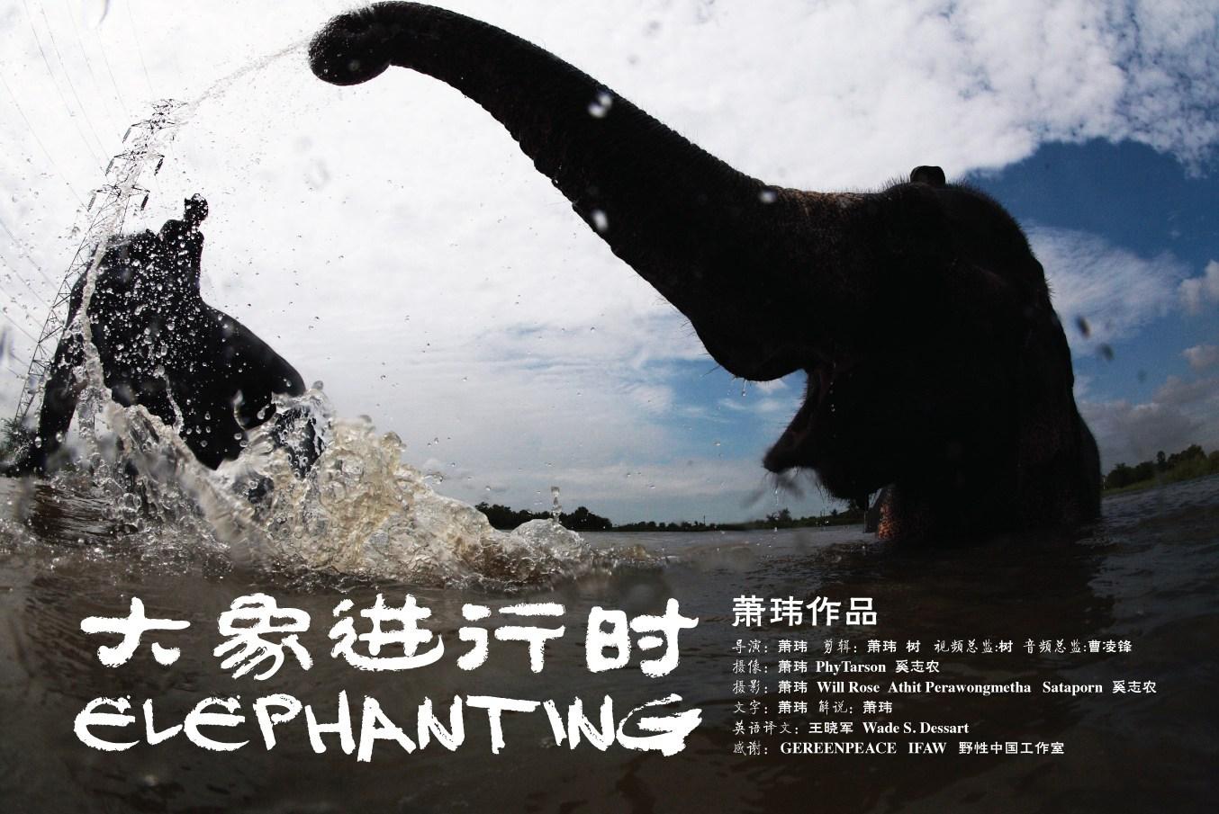 大象进行时