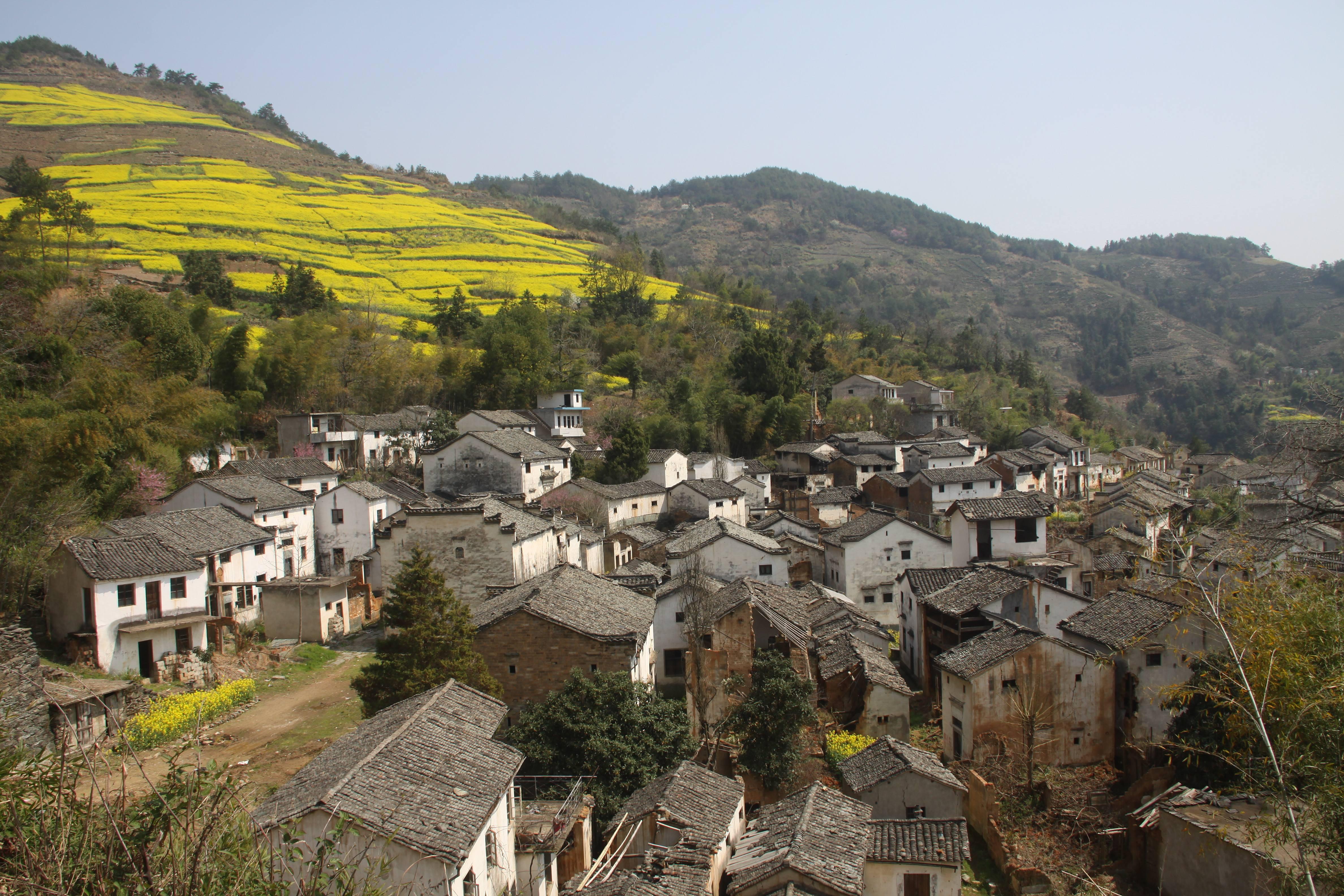 西程戈莊村