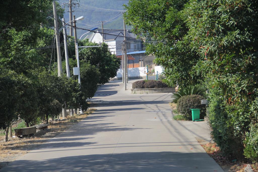南辛堡村
