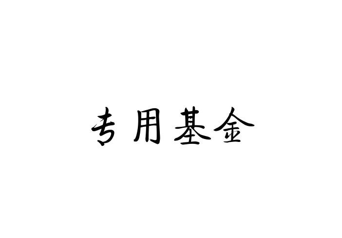 专用基金