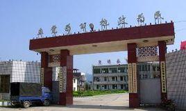 富岭村