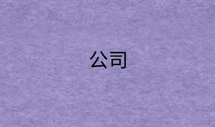 公司