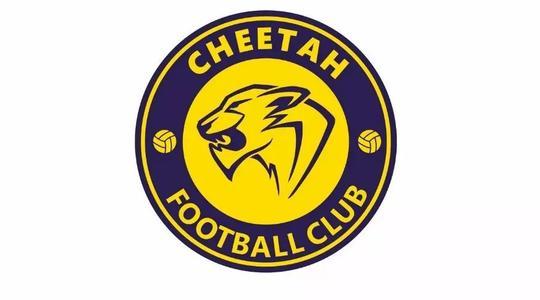 成都獵豹足球俱樂部