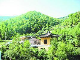 馬場村