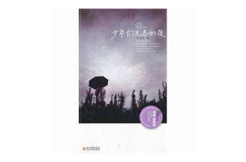 少年们无尽的夜