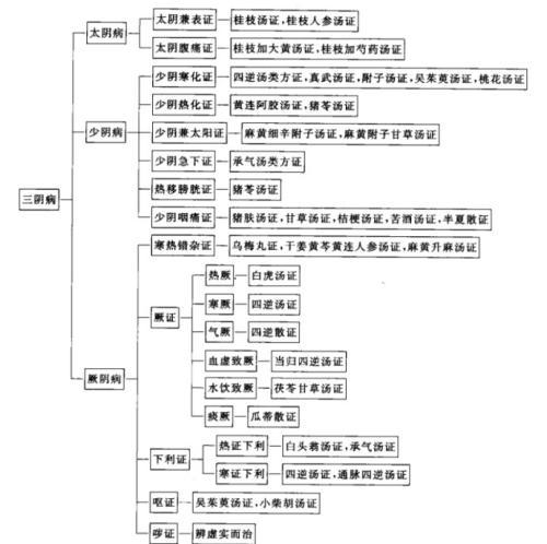 六經(jīng)提綱