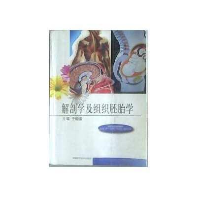 解剖学及组织胚胎学