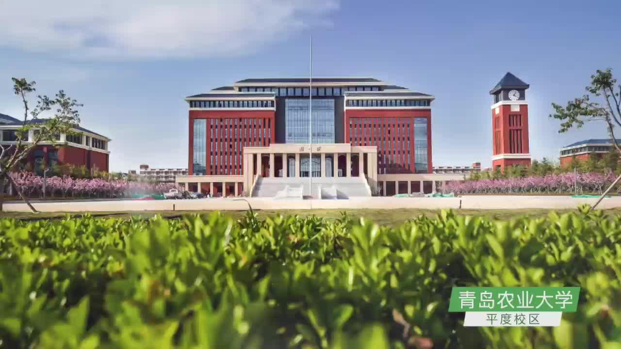 青岛农业大学平度校区