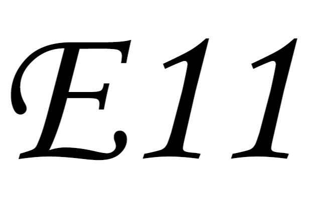 E11