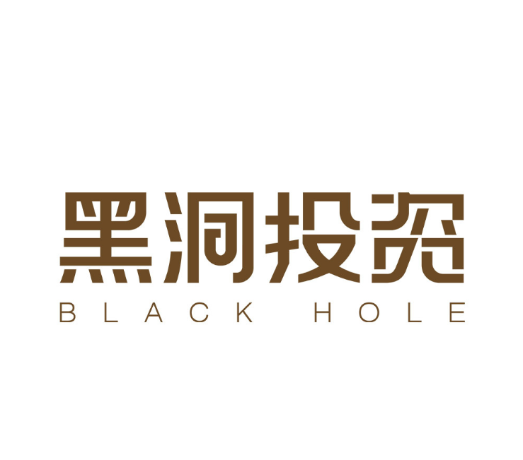 廣州黑洞投資有限公司