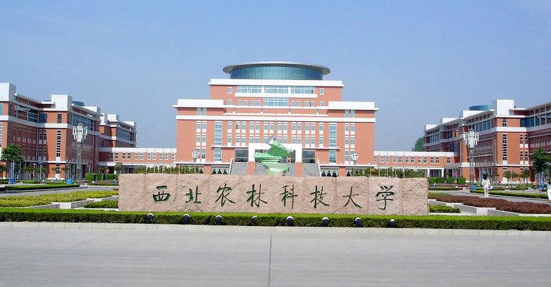 西北農(nóng)林科技大學信息工程學院
