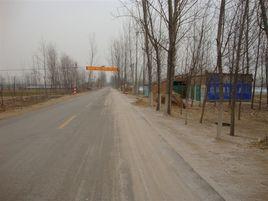 豐莊村