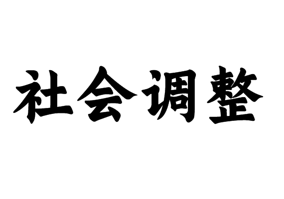 社會(huì)調(diào)整