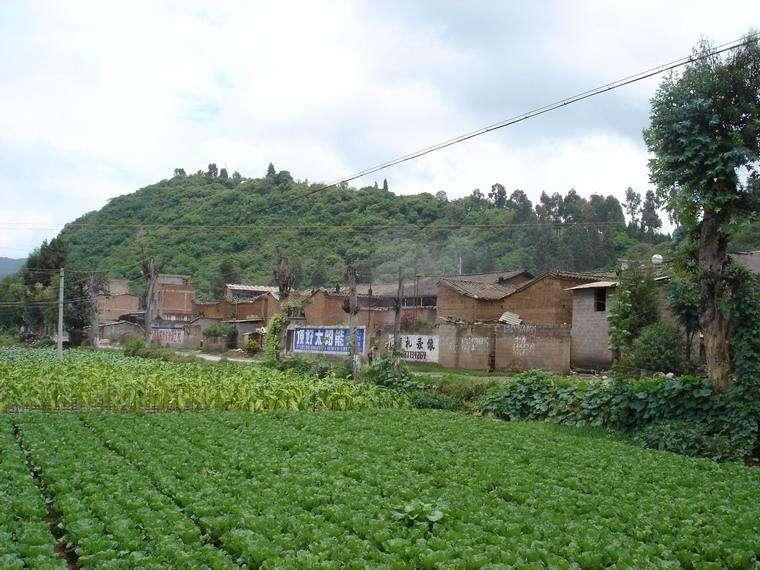 香营村