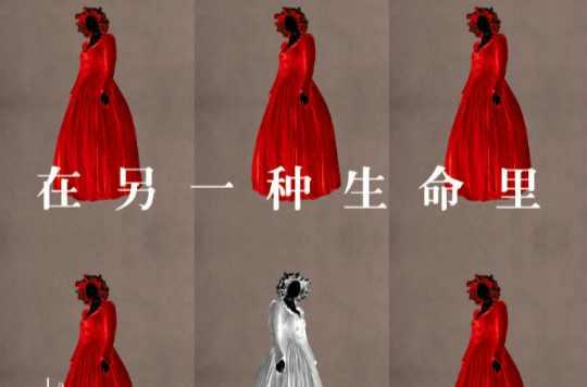 在另一种生命里