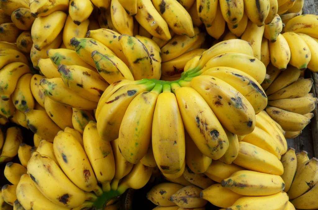 鸡蕉
