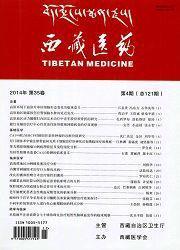 西藏醫(yī)藥雜志