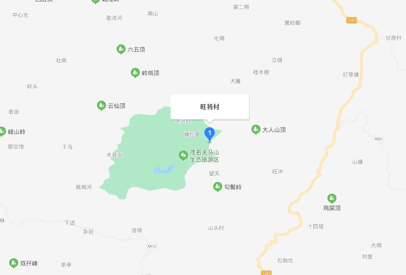 旺将村