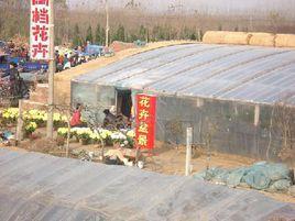 宋格莊村