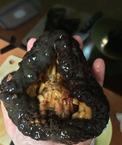 紅極參