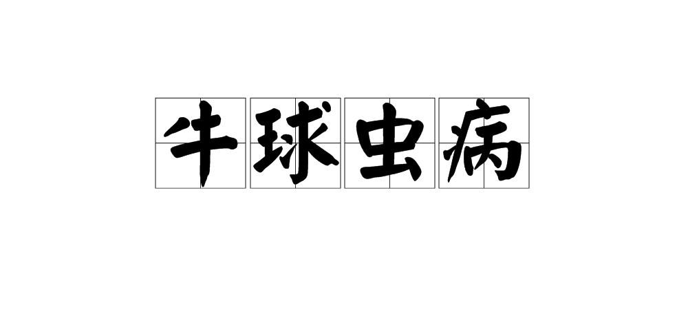 牛球虫病