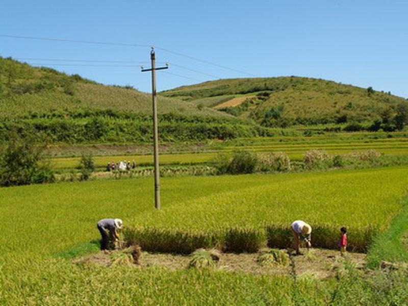 云集村
