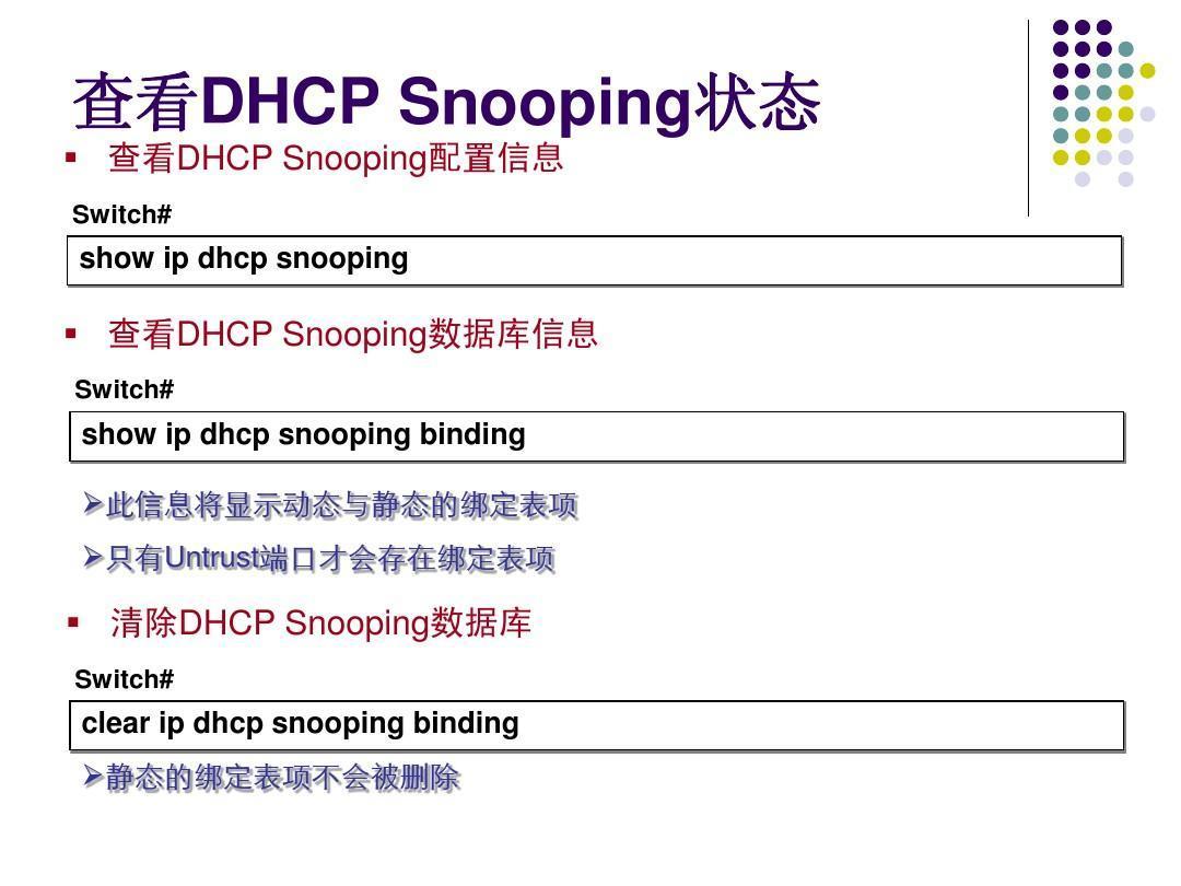 DHCP Snooping