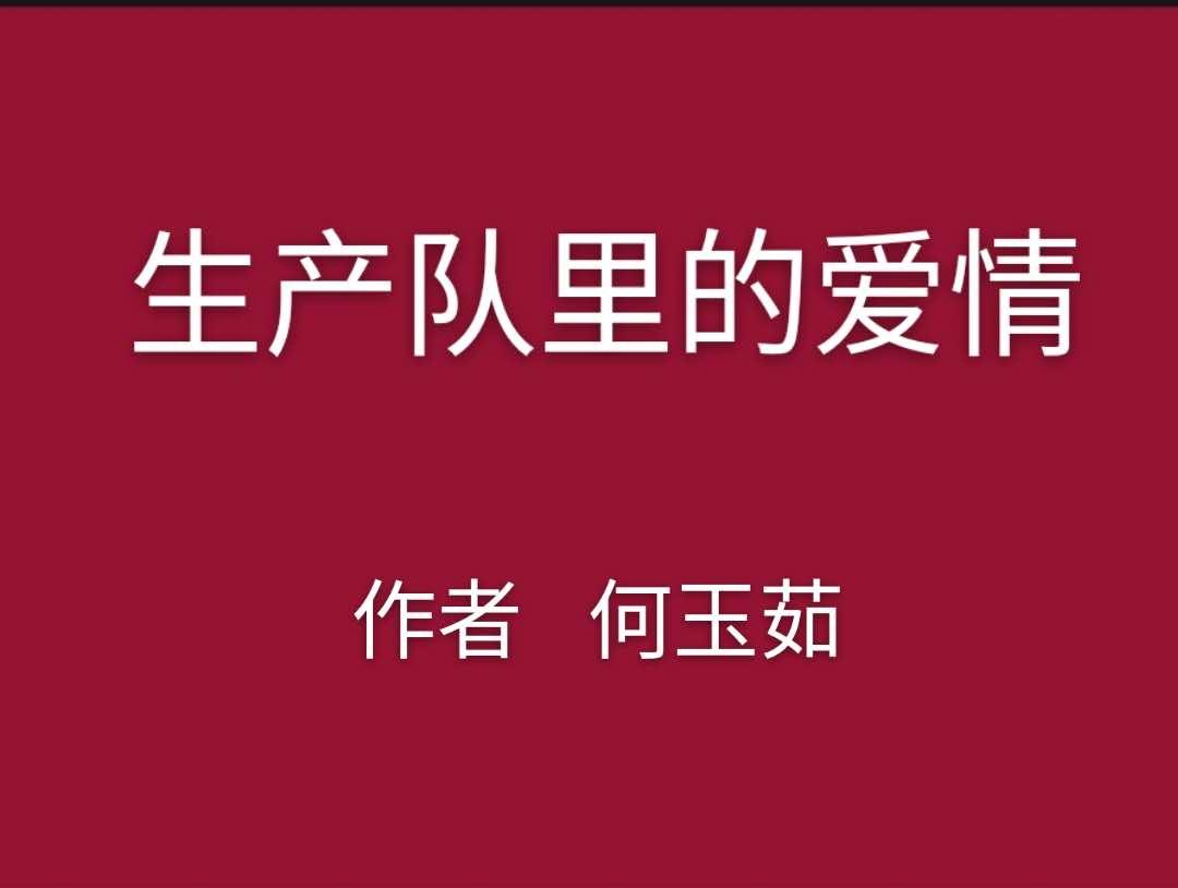 生产队里的爱情