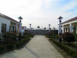 黄墩村