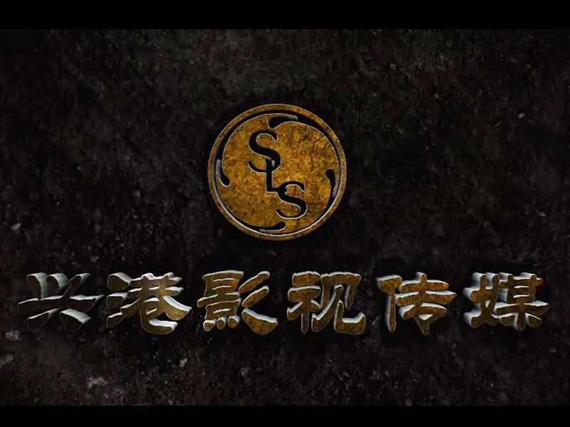 興港（北京）影視文化傳媒有限公司