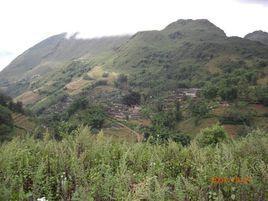 甘塘村