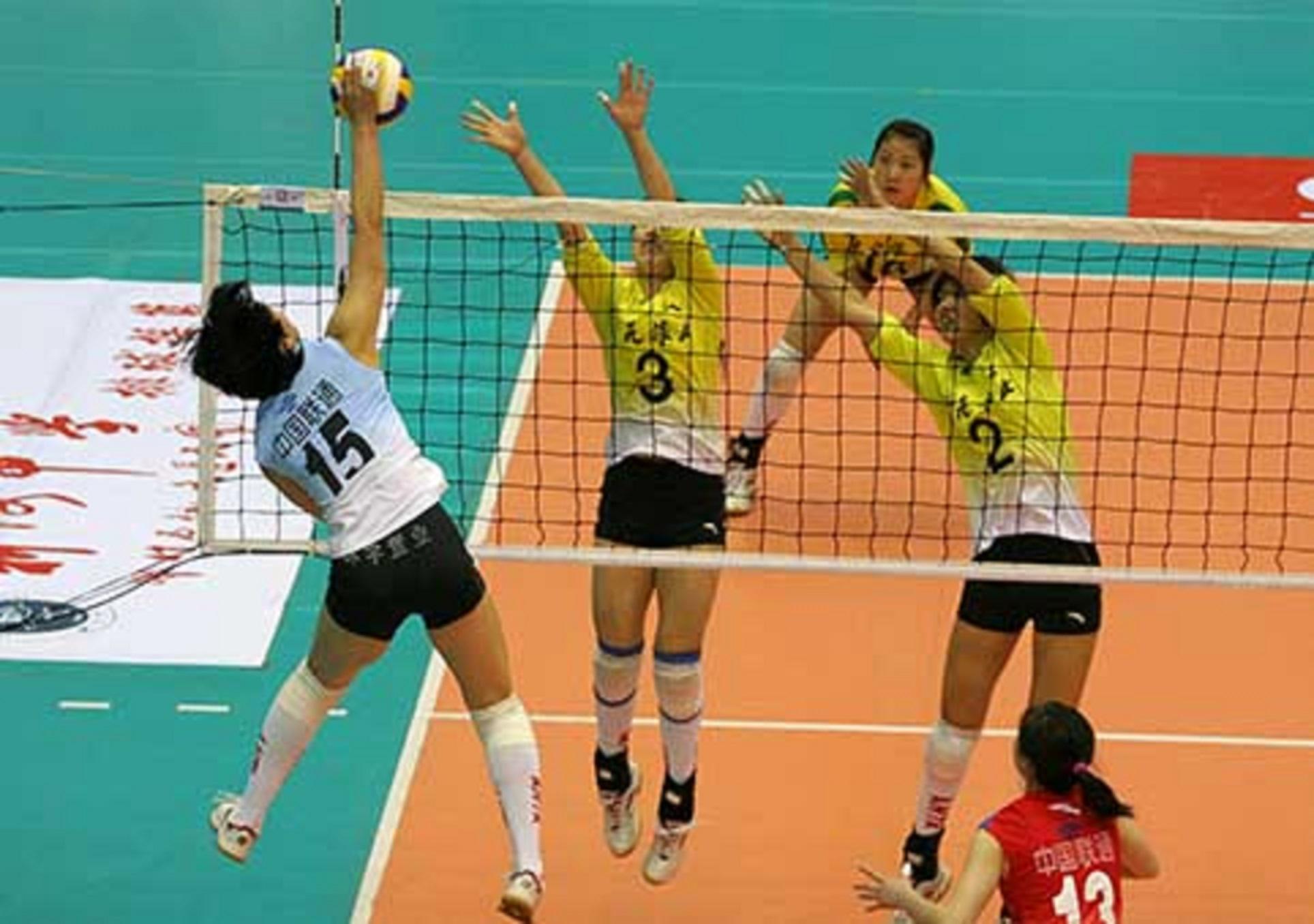 2008年全國女排大獎賽